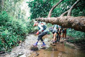 BIB: 
                            <button type="button" onclick="openModal(25373017)" class="btn btn-primary btn-sm float-right btn-popup" data-toggle="modal" data-target=".modal-high-quality">
                        <i class="fas fa-shopping-cart"></i> Add to Cart
                    </button>
                                            <button type="button" onclick="isThisMe(25373017, true)" class="btn btn-success btn-sm float-right btn-popup btn-isme hidden" data-toggle="tooltip" data-placement="bottom" title="นี่คือรูปของคุณใช่ไหม คลิกที่นี่เพื่อเอาเข้าอัลบั้ม">
                        <i class="fas fa-plus"></i> Add to album
                    </button>
                    <button type="button" onclick="isThisMe(25373017, false)" class="btn btn-warning btn-sm float-right btn-popup btn-isnotme hidden">
                        <i class="fas fa-ban"></i> Remove from album
                    </button>